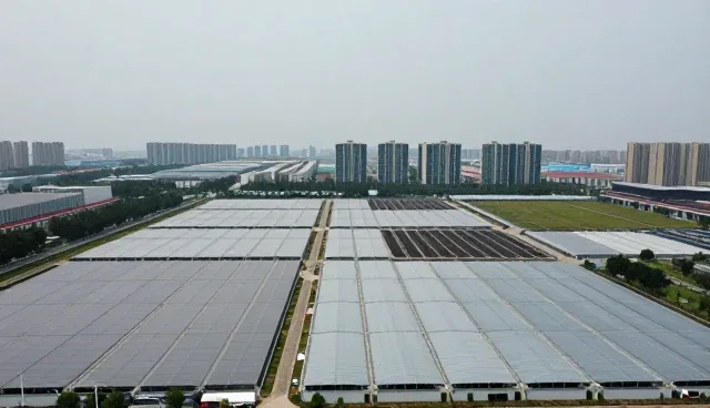 企业管理系统选型时如何关注性能与适用条件?